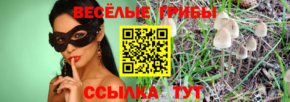 Галлюциногенные грибы GOLDEN TEACHER  Вход с VPN  Печора 